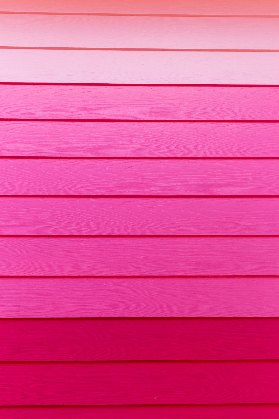 Wood pink background.Pink Synthetic wood wall texture use for background.Colorful wooden board painted in pink.